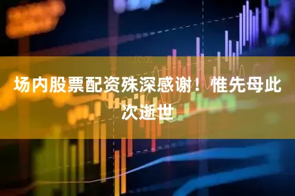 场内股票配资殊深感谢！惟先母此次逝世