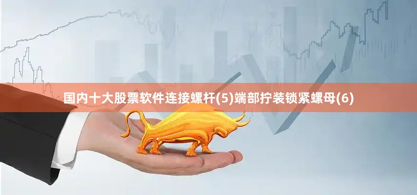 国内十大股票软件连接螺杆(5)端部拧装锁紧螺母(6)