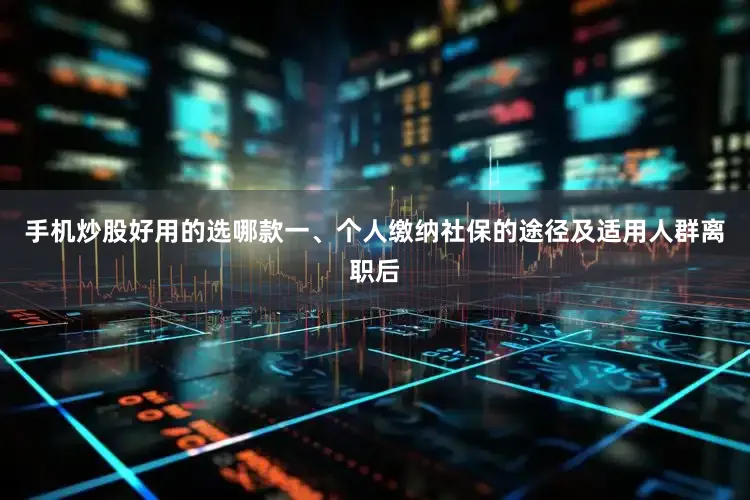 手机炒股好用的选哪款一、个人缴纳社保的途径及适用人群离职后